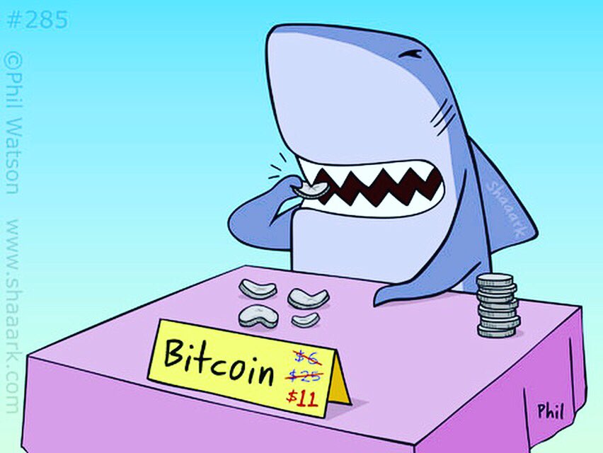 sharktoons's tweet photo. How a #Shaaark makes money... https://t.co/hwF9dlIDit