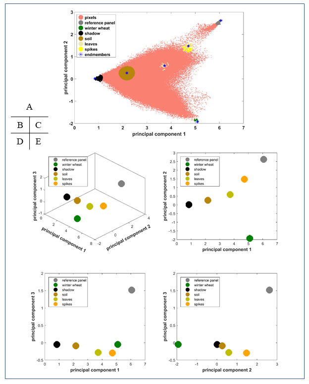 Ali Moghimi tweet media