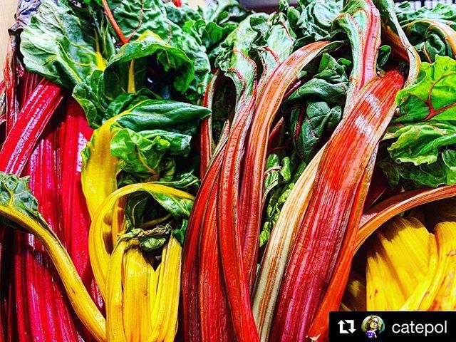 ComeToBas's tweet photo. #Repost @catepol with @get_repost
・・・
Questo quadro è semplicemente un po’ di cicoria #Bio di #Basilicata. Provenienza Montescaglioso. Bella vero? #BioBasilicata #GustoBasilicata #fruitvegbasilicata #Cicoria #vegetables #colourful #colour #biologicoitaliano #healthyfood #foo… https://t.co/dWSY146qSs