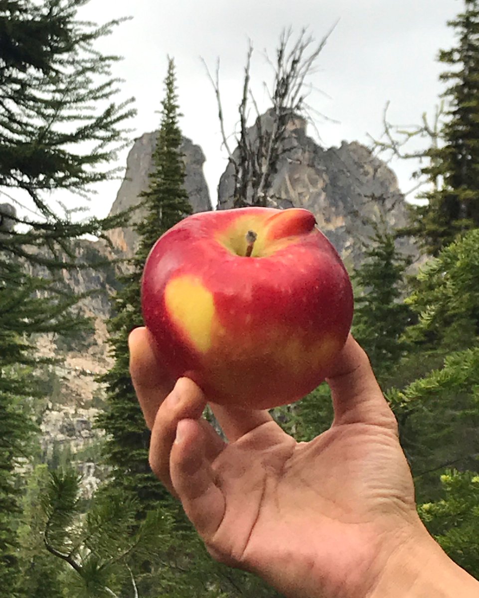 ChelanFresh's tweet photo. Here’s to partners like Imperfect Produce who continue to climb mountains and champion fruits and vegetables that taste perfectly fine but look a little imperfect.  
#BlueLakeTrail #NorthCascadesHighway #BeImperfect #GetOutside https://t.co/n0nPCy3T9J