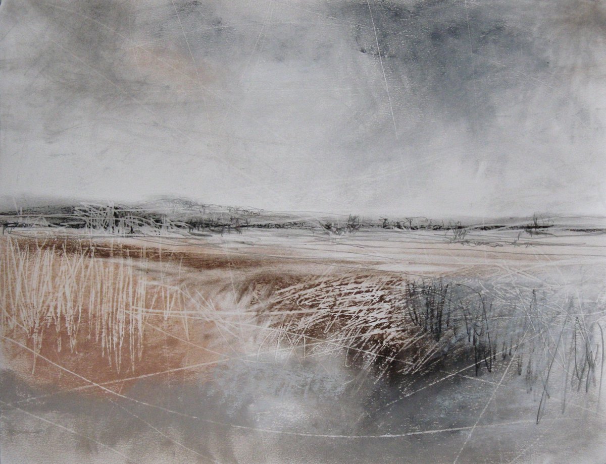 'Wild Lands', #pastel, #charcoal and #graphite on @Fabriano1264 #paper - one of the works in my #soloexhibition at #birchtreegallery #Edinburgh, ending this Saturday. #ThisisEdinburgh #ScotlandIsNow #contemporarypastel #pastelsociety #landscape #drawing #worksonpaper