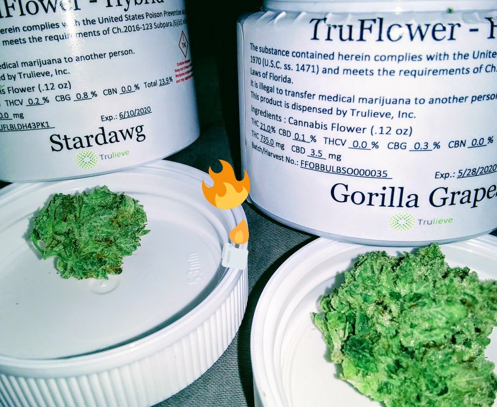msfish11's tweet photo. @Trulieve it was awesome to see y'all today ✌😁✌ these gals are gorGe!! And some faAaAYyER fOshEEzy!!
#stonerfam #CannabisCommunity #weedlovesme #imnotfromhere #isisandosiris
#bestillandknow https://t.co/UCnv4KpQ3k