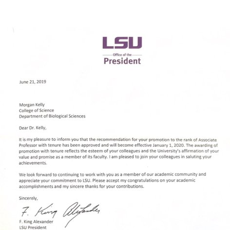 Morgan Kelly tweet media