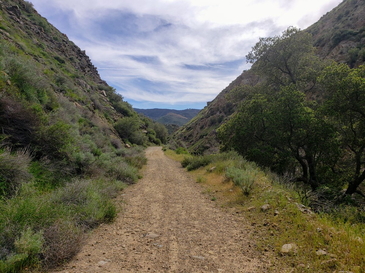 'Oh the places you'll go' 🐕
Discover more about taking your dog on one of our nature immersive field trips outside of L.A., link in our bio!

#naturelovers #outdoorlife #adventuredognation #outdoordoglife #doghikers #hikinglife #healthypets #la #richdogsofinstagram #pawtreksla