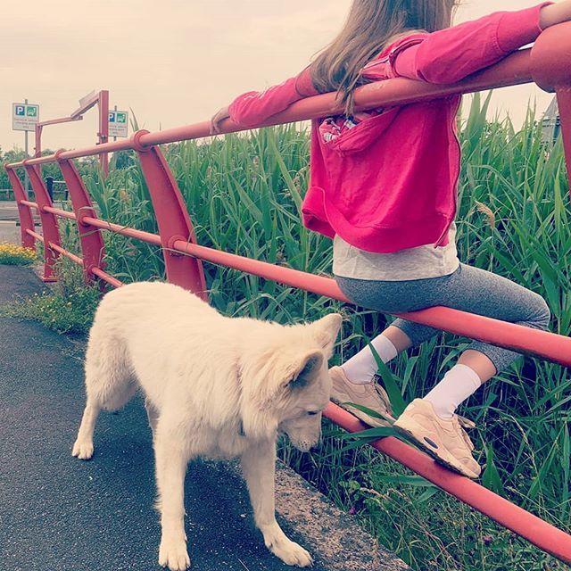 WolfAthos's tweet photo. Day 87:
Looking for somthing, looking for us
Looking for the time that falls in the past
Looking for better when all it is good
Looking for silence when you're not in the mood
Looking for somthing when you have it all
But who'll ever look to find his own… https://t.co/bHb80NQ5d3 https://t.co/AqxAbh3wjn