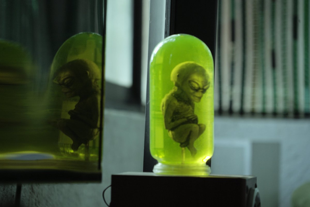 ¡Algo comienza a gestarse!  en INDIE @cdecINDIe #ElNuevoRostro