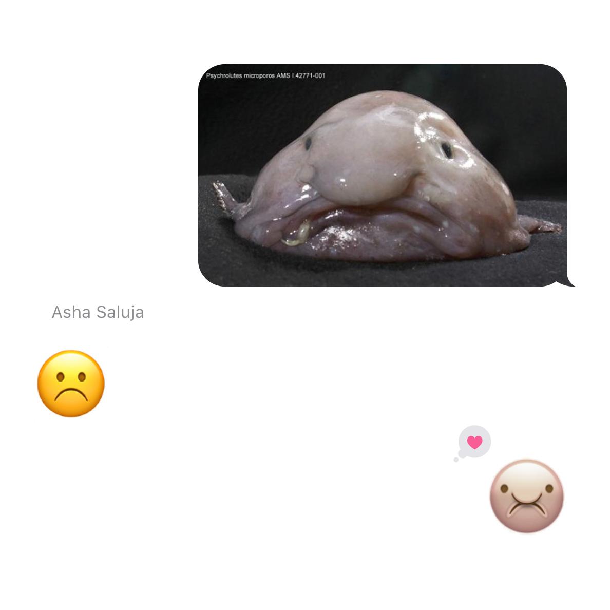 Jen Lewis on X: I made a blobfish emoji as a joke and now I can't stop  looking at it  / X