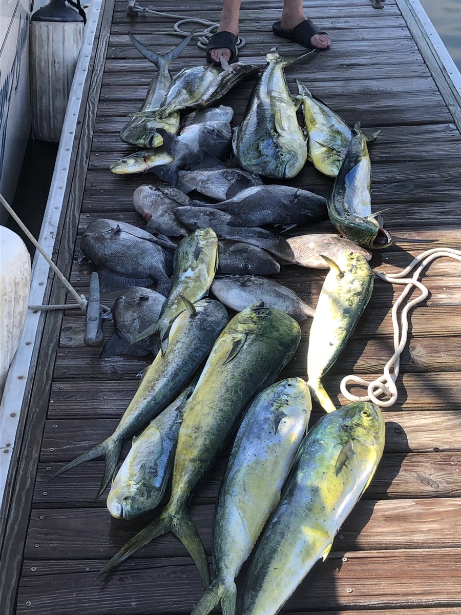 kmacker69's tweet image. Today was a good day!