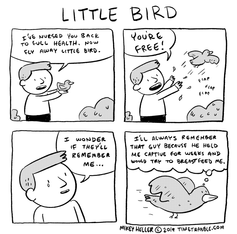 i drew a comic about a little bird 