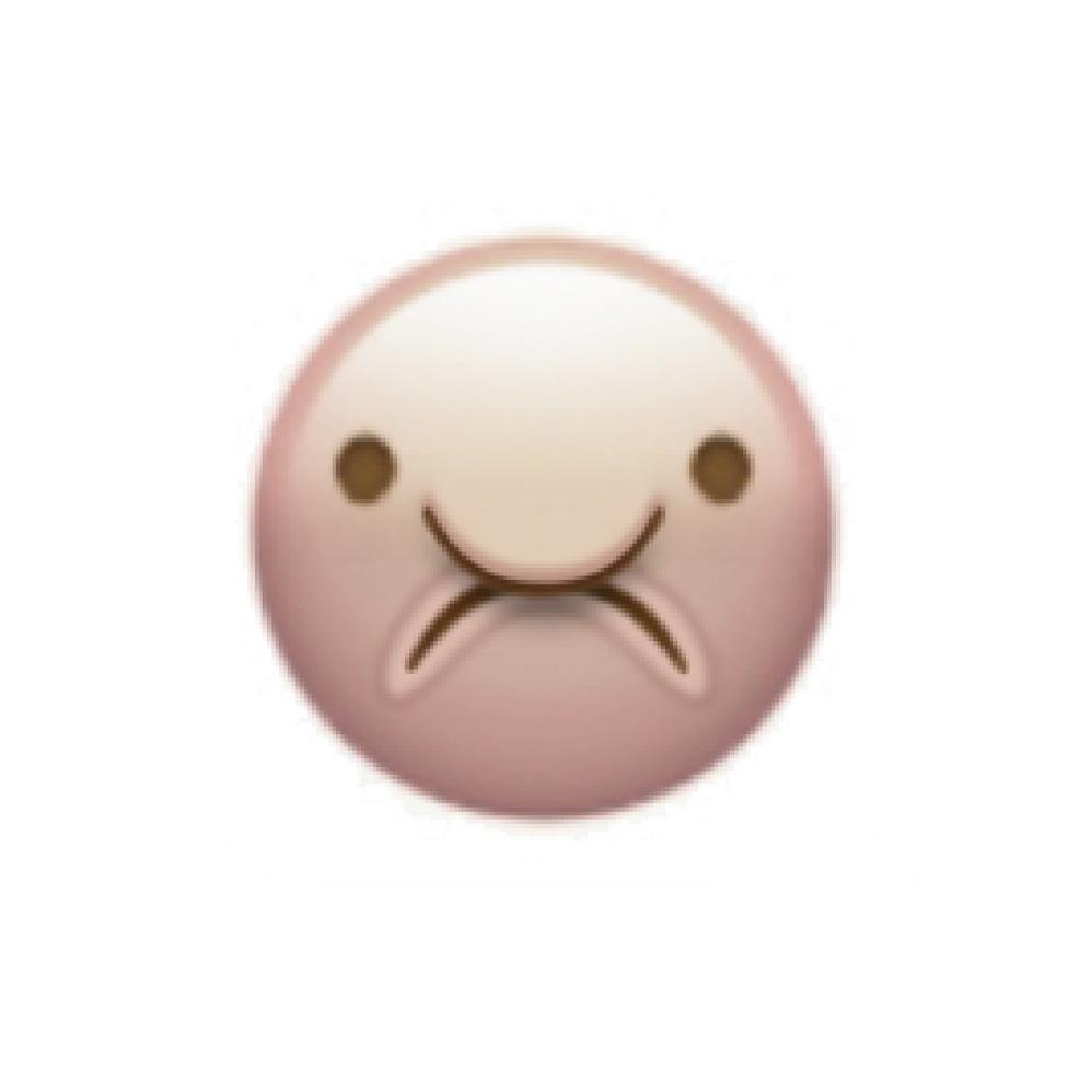 Jen Lewis on X: I made a blobfish emoji as a joke and now I can't stop  looking at it  / X
