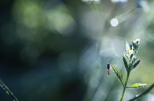snapgle's tweet photo. "Righteous in my Light" by Stefano Zatti is a trending photo on #Snapgle! https://t.co/0KiF91nyJp https://t.co/rjrXOzieNG
