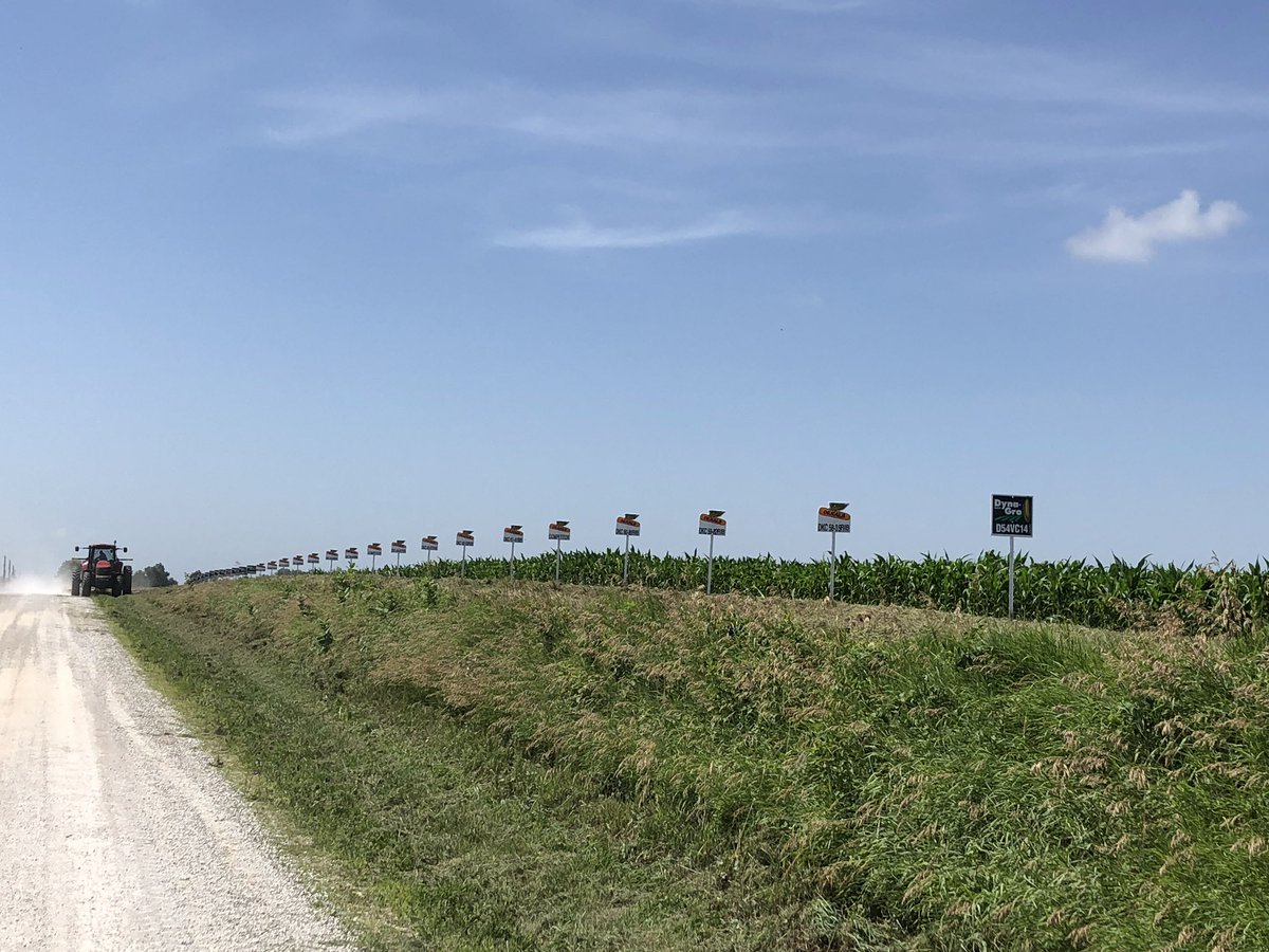 rachellraines's tweet photo. Thank you Nutrien Harrisonville for signing our Market Development plots in Lexington,Mo today! #DEKALB #Asgrow https://t.co/roMBr11QLO