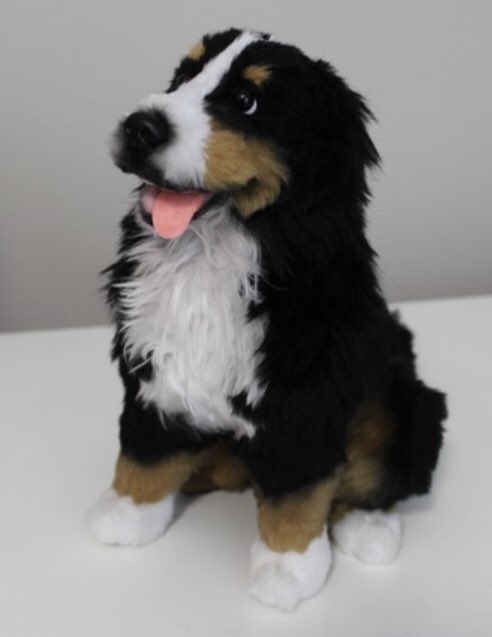 animal stuffing near me