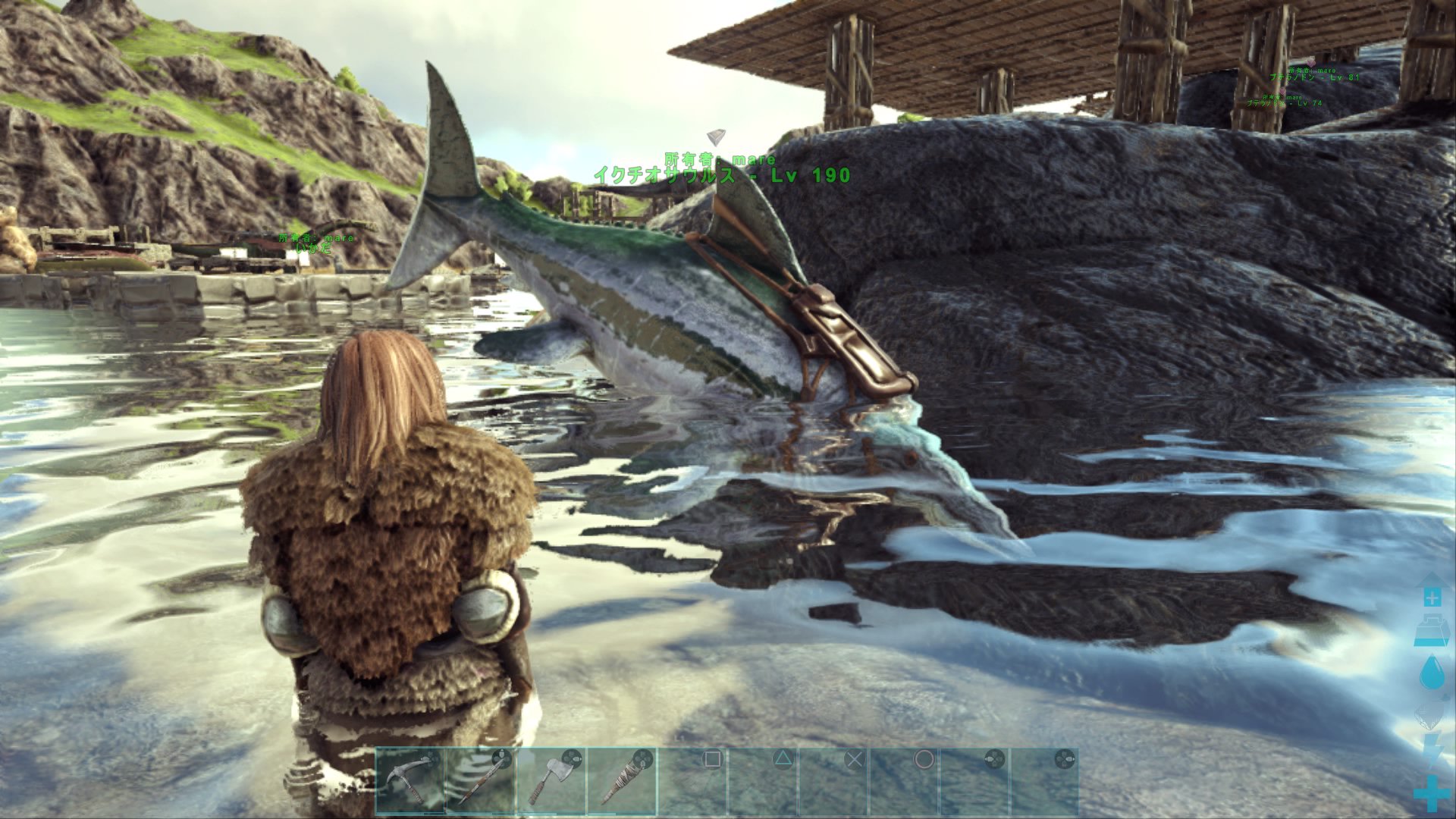 تويتر 黒抹茶 Ark على تويتر 水中用のいかだトラップ作った ﾉ早速イクチオサウルス 130 60level でテイム でも このあとバシロlevelをテイム中にミスってメガロドンの大群に食い殺された ゝ イクチオごめんね てか メガロドンは恐竜用のゲート