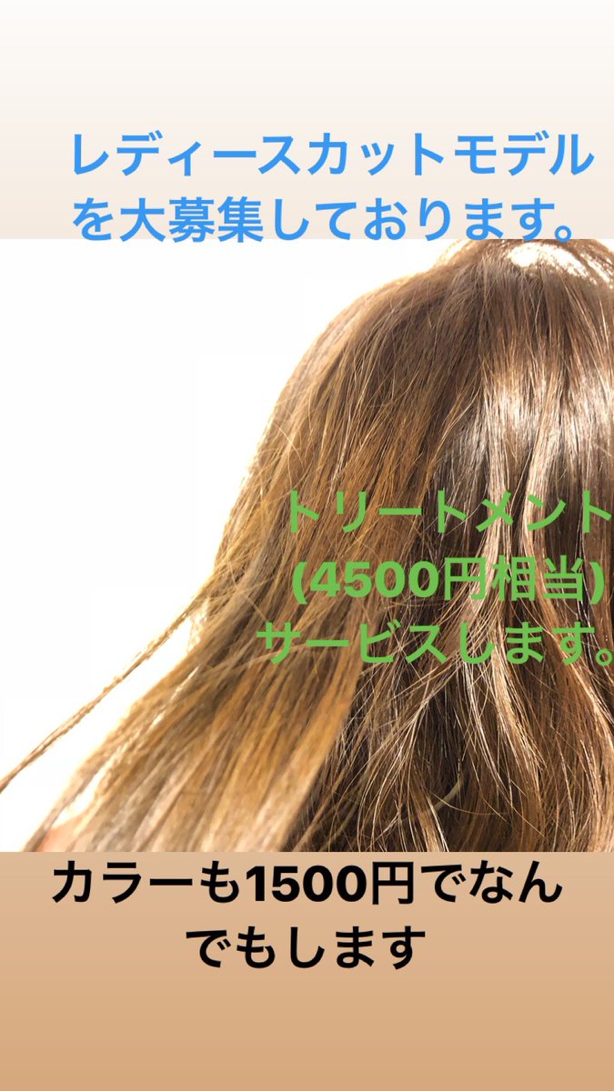 ショートモデル