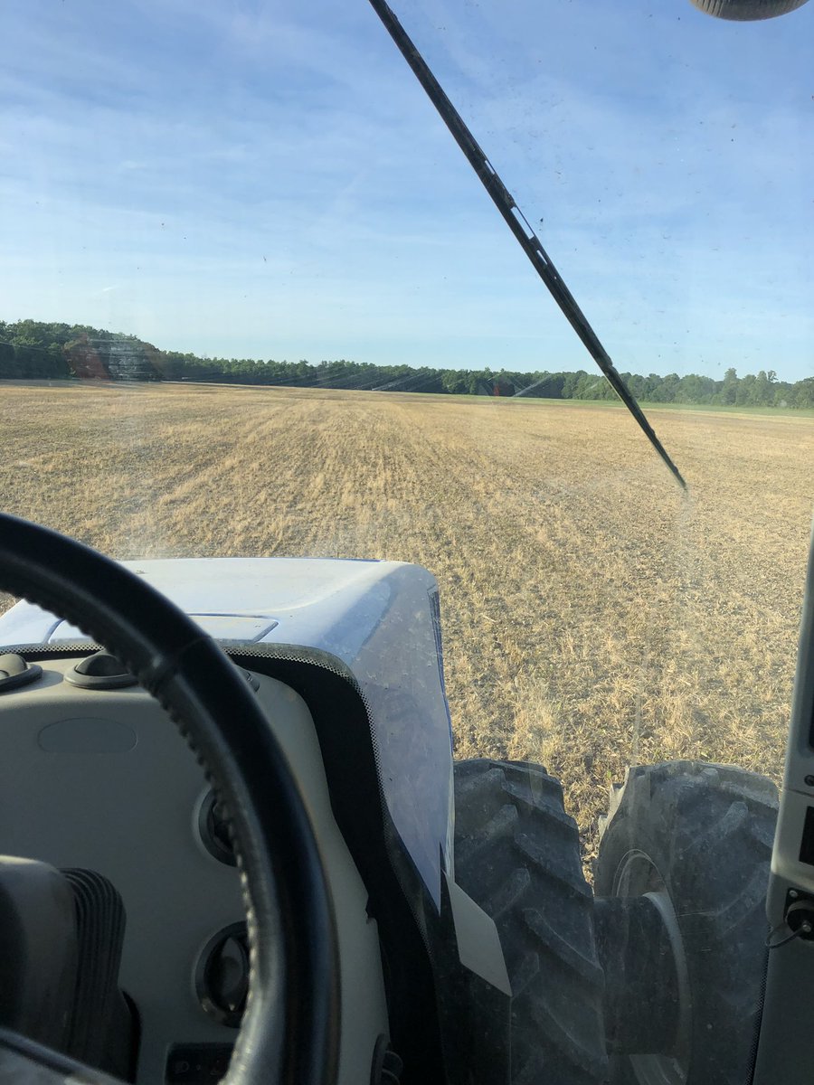 Austin Vandenberg tweet media