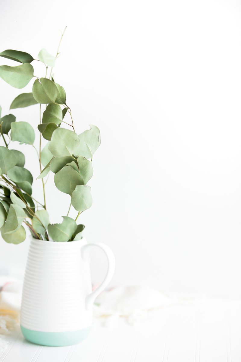 ALFarmersMarket's tweet photo. What's your favorite kind of houseplant? https://t.co/CNjoXsCtcY
