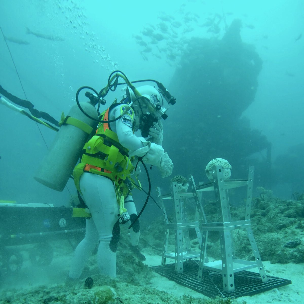 StoffAdAstra's tweet image. @UNDAerospace @UNDSpaceStudies aquanauts repair and evaluate #3Dprinted #Habitats on @NASA_NEEMO Mission 23 @ReefBase through undersea and outer space exploration 🌎💦🐠🚀🌖🔴 Off the Earth, for the Earth, and Beyond  #InnerSpace #OuterSpace #EVA #CoralReef #Moon #Mars