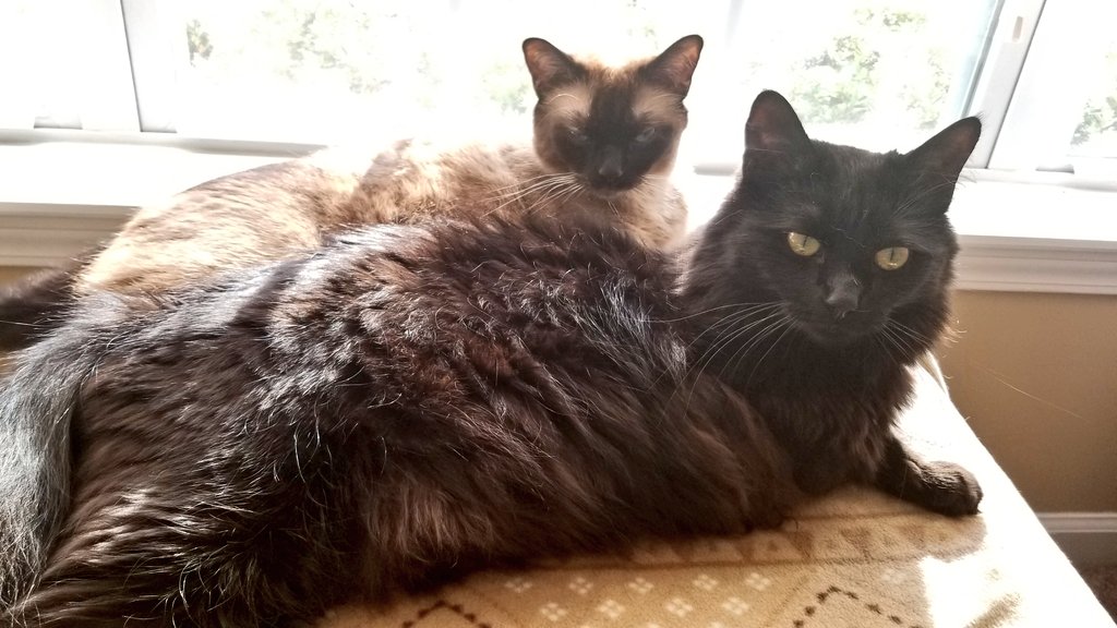 <a href="/AmericanDadLive/">AmericanDad</a> Your pals say "feel better!!"