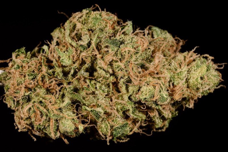 Mark: Golden GoatThis strain was created BY ACCIDENT when two Hawaiian strains collided, it is sweet, tropical, and has an intense body high. It makes you clear headed and is awesome for making art. A happy accident with strong effects mirrors the goofiness of THE Mark Lee