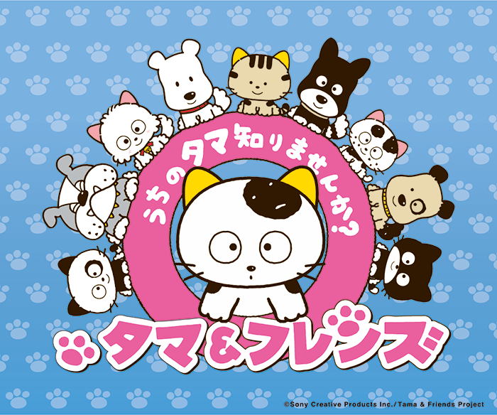 みつあみ引っ張って くま井ゆう子⁄みつあみ引っ張って 8センチ