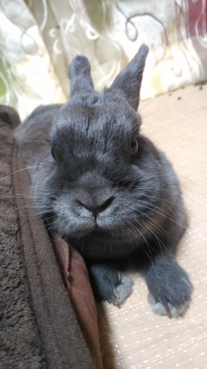 タピオカ落ちてますけど...