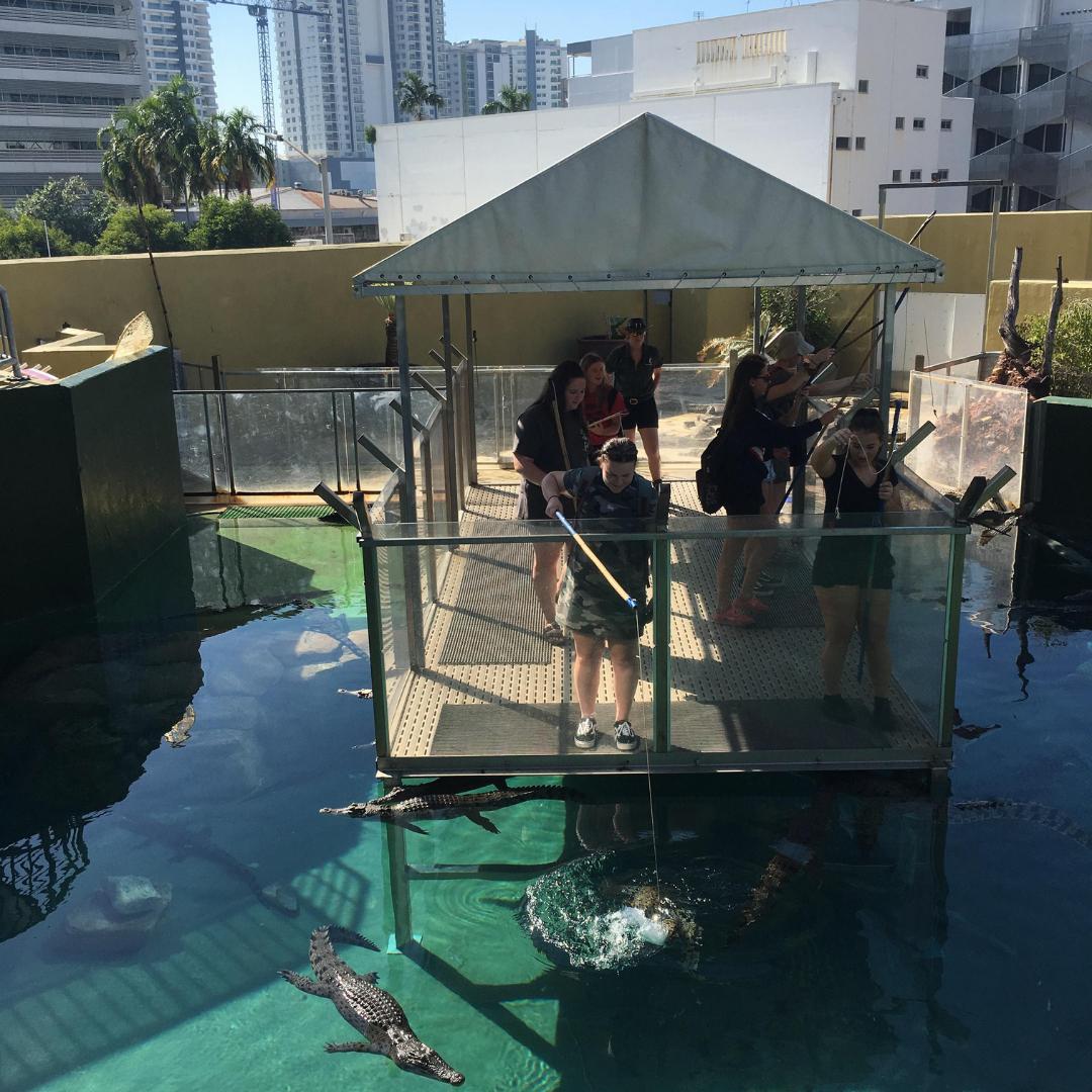 CLCEltham's tweet photo. More photos in from the NT tour. The students are having a ball today exploring Croc Cove. #unlimitedpossibilities #clcspirit #clcsisterhood #clcnttour https://t.co/vwl24W6P1f