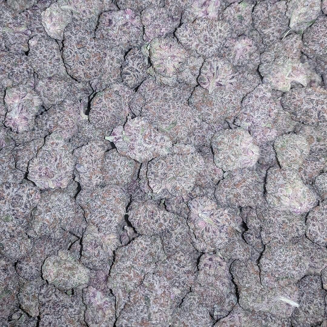 dicksonray692's tweet photo. #southernoregon #nugs #buds #420society #lightdeprivation #greenhousegrown #applegatevally #nugshots #nugstagram #recweed #recreationalmarijuna #norcal #organic #flavorgod #livingsoil #terps #cbd #thc #seeds #plantmoreseeds #cookiesorbetter #goergemorgan #gorillaglue  #weedlovers https://t.co/mQajKteC07