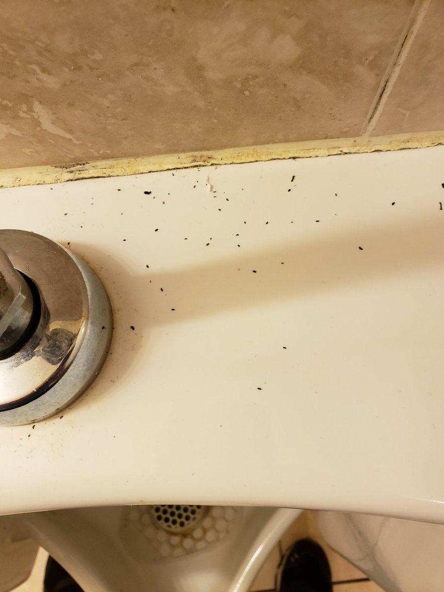 ProfessorStatik's tweet image. "Scratch Ticket Dust on a Urinal" is a real contender for the title of my upcoming manual of multitasking techniques.