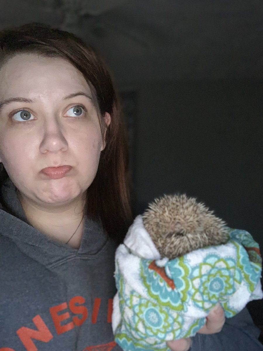 AmandaCummings6's tweet image. I keep trying to be his friend and instead he decides to hate me. #hedgiemom