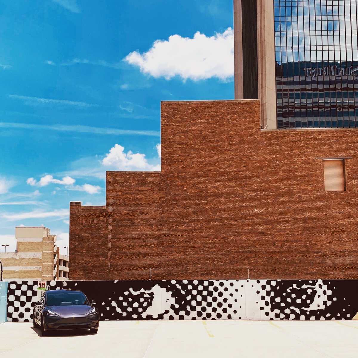 After 7 months, she continues to captivate the eyes 🚘 👀 <a href="/elonmusk/">Elon Musk</a> <a href="/Tesla/">Tesla</a> @Model3Owners <a href="/RubenUbiera/">Ruben Ubiera</a>