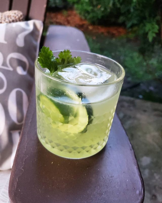 biddoodles's tweet photo. ⁣⁣Got around to making a cocktail with my @letherbee vernal banana pepper gin and some work shopping with @morganthesparrow. ⠀ ⠀ ⠀ Letherbee vernal gin, jalapeno syrup, lemon juice, cucumber, cilantro⠀ https://t.co/XbCZX2fXUf https://t.co/KEfHxyAkki