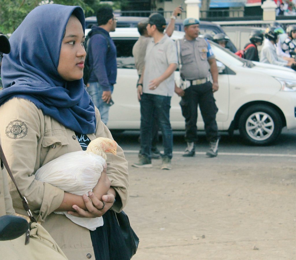 koin1903's tweet photo. #istimewanyajogja, ajarimu belajar melihat dgn mata hati, mengerti dngn akal budi & kasihi dgn setulus hati. Bukan hanya dari dosen or teman, kampus or sekolahan. Tp bisa dr ayam & parkir timur Kridosono, alun-alun. Saat bagi-bagi #ayamgratis iya to @paniradyajogja? https://t.co/4QIFQleWr6