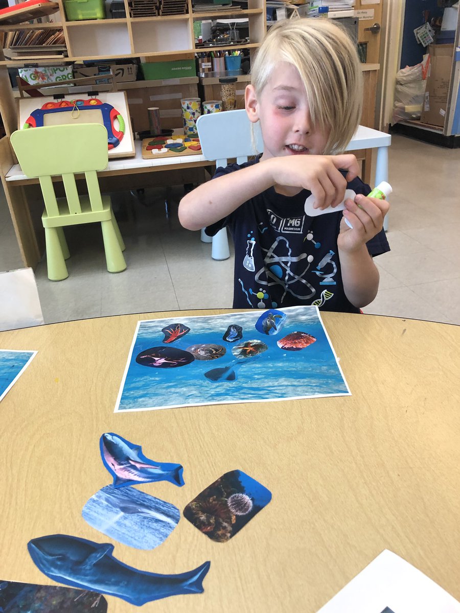 summer school fun: exploring shells and ocean animals and creatures in kinetic sand & identifying ocean animals and creatures and making our own “ocean” crafts #summerschool #earlychildhood #oceantheme #vocabularydevelopment #sensoryexploration @ShadelandsPreK @MtDiabloUSD