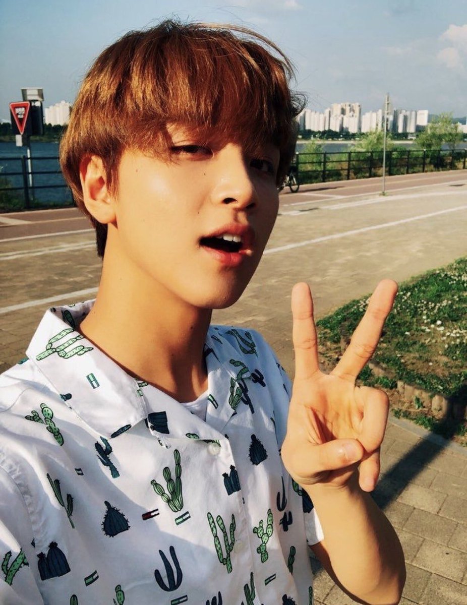 Donghyuck: Sour DieselI LOVE this strain. The high is weightless and will have you questioning the universe in seconds. It is uplifting and motivating and will make you want to talk to everyone. It has an intense flavor, but It’s perfect for a sunny day just like fullsun.