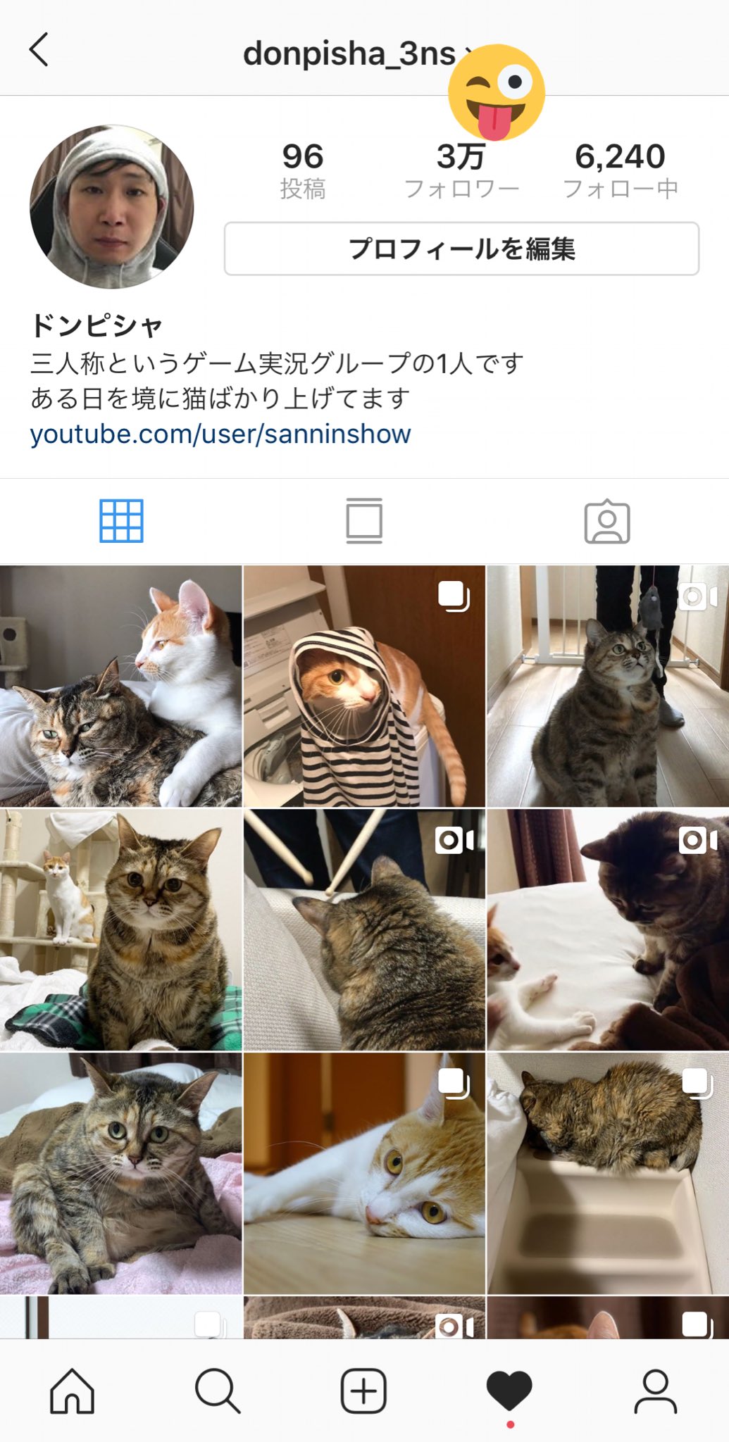 Twitter 上的 ドンピシャ インスタ 毎日ちゃんと猫と稀に人間更新してたら増えたなぁ 猫様様やでぇ T Co Yu6wp30vyv Twitter