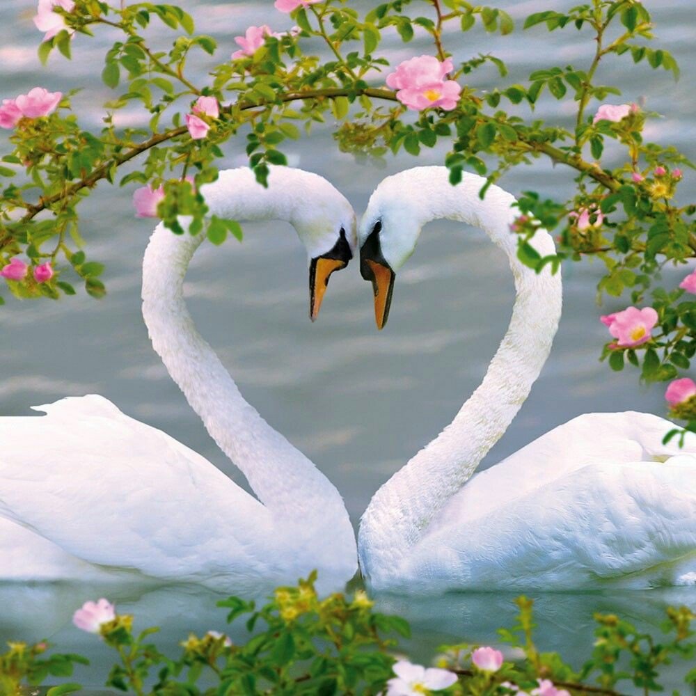 Harish Ajwani tweet media