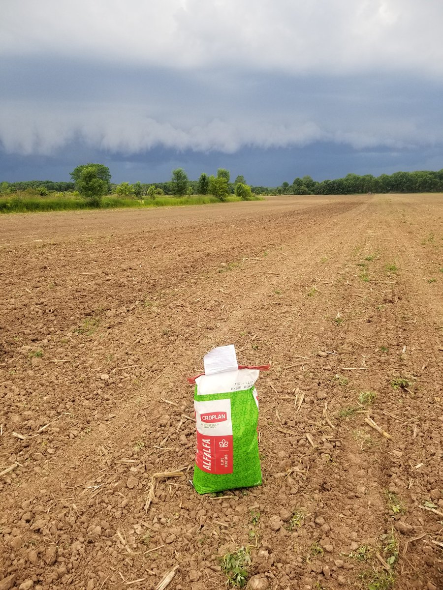 Racing the storm. #plant19 #alfalfa @WinFieldUnited
