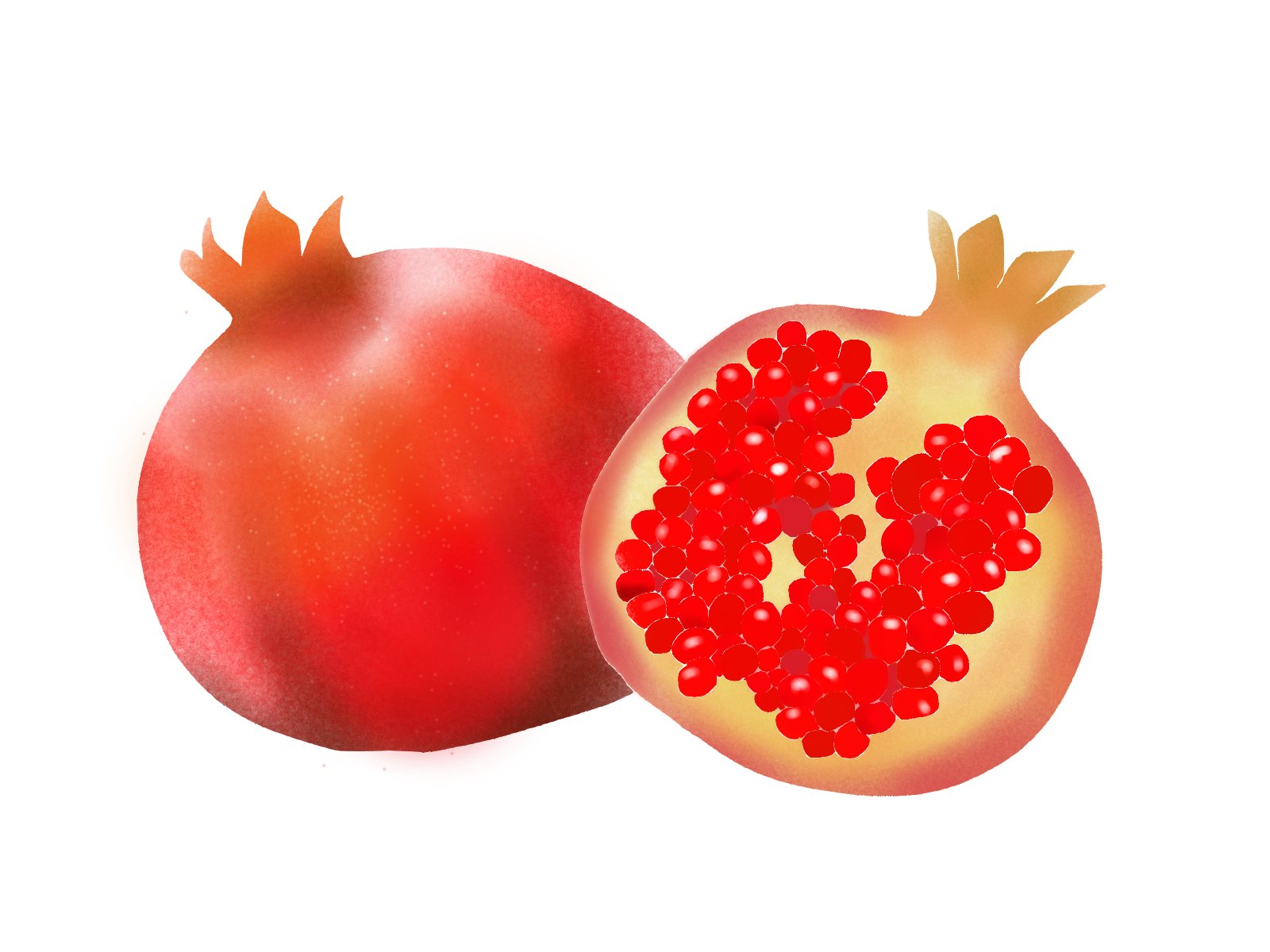 愛ちん ゆめみ愛 イラストacさん投稿の６月２８日の誕生花 柘榴 ザクロ です 無料なので良かったらどうぞです T Co Ylut4tnqci 種子が多いことから 豊穣や子宝の縁起物として 見られることの方が多いです ローマ神話では柘榴は復活の