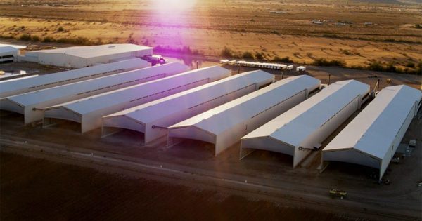 LegacyMedDog's tweet photo. Do Massive Animal Factories Threaten Iowans’ Health? New Documentary Exposes Risks https://t.co/sOwPyW6GmW https://t.co/xgwyK4QcUY