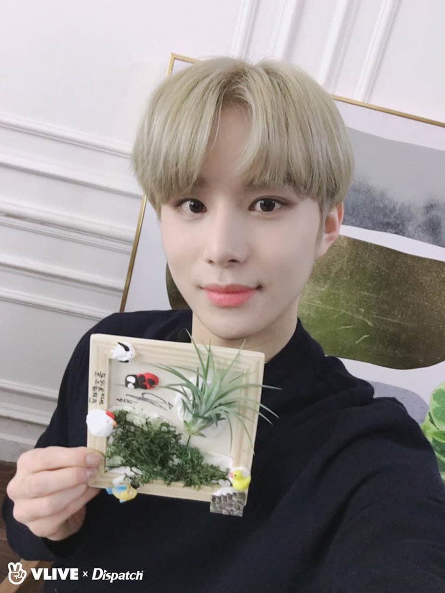 Jungwoo: Snoop’s DreamHaha though this strain was created by Snoop Dogg not SnoopY, it still reminds me of jungwoo. It has blueberry flavors at first and hits you LIKE A TRAIN but the aftertaste is pine and the effects later on are soft and euphoric...JUNGWOO SNOOP DOGG