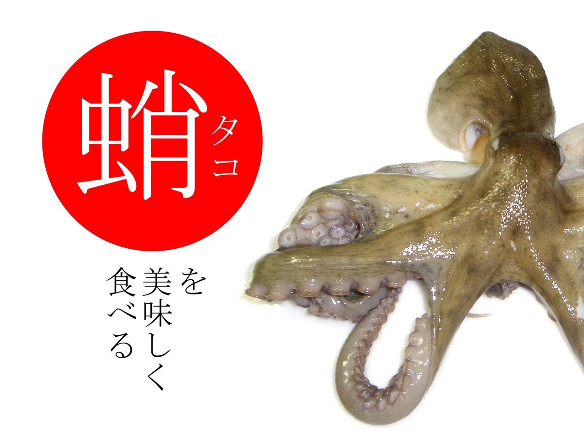小原正至 Seiji O Hara على تويتر 蛸を美味しく食べる方法 書きました T Co Khpylxwlap タコ さばき方 レシピ お手軽 誰でもできる 簡単 料理 たこめし