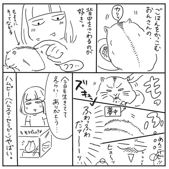 ふわっふわのモフモフの頬袋ゴリッゴリ 