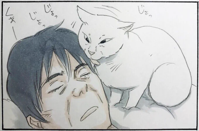『ミルクの愛』 
