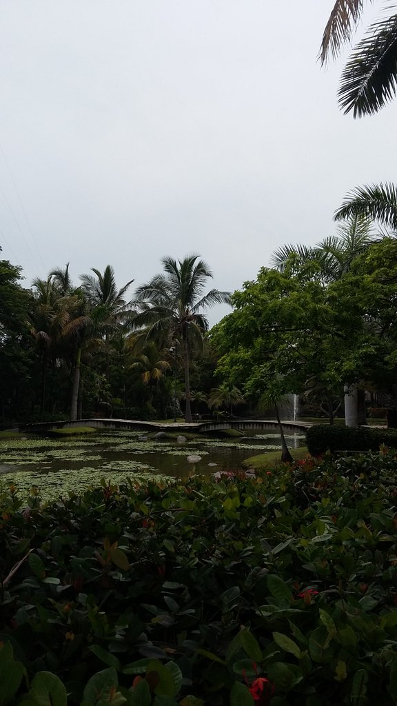 casacelis's tweet image. Coming soon... #UV #LanguageCenter #AlmaMater #BocaDelRio