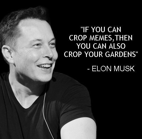  Happy Birthday Elon Musk! 