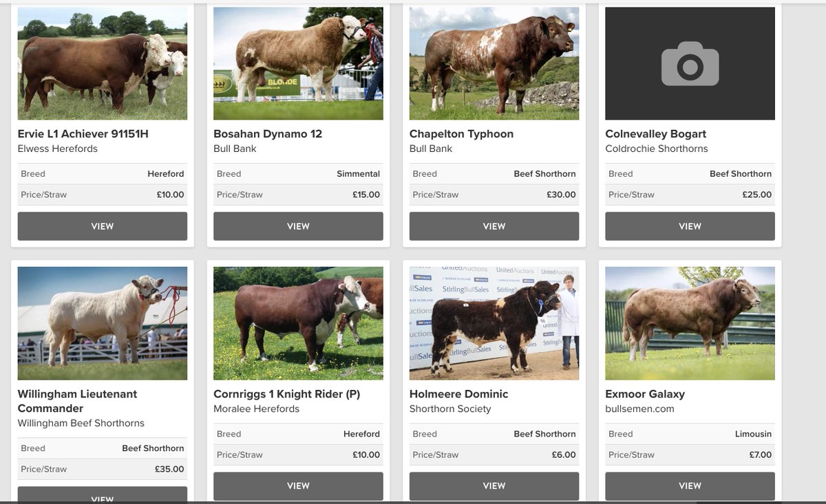 sellmylivestock's tweet image. Have you seen our new beef genetics section?
sellmylivestock.co.uk/genetics/beef/

Want to sell straws from your bull on SellMyLivestock?

Just fill this quick form in:
hectareagtech.formstack.com/forms/quick_up…