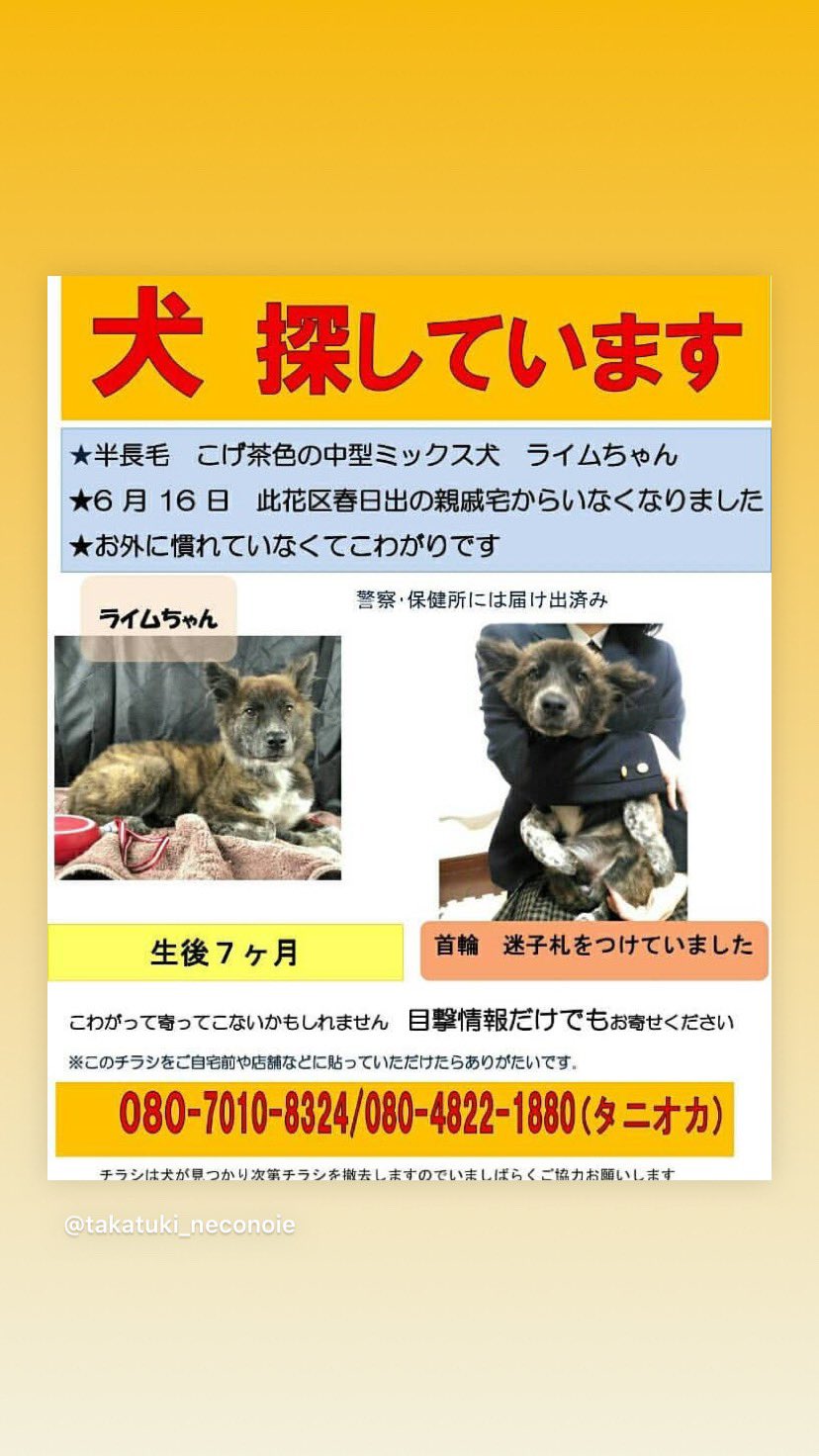 ゆー Nekonekochan29 Twitter