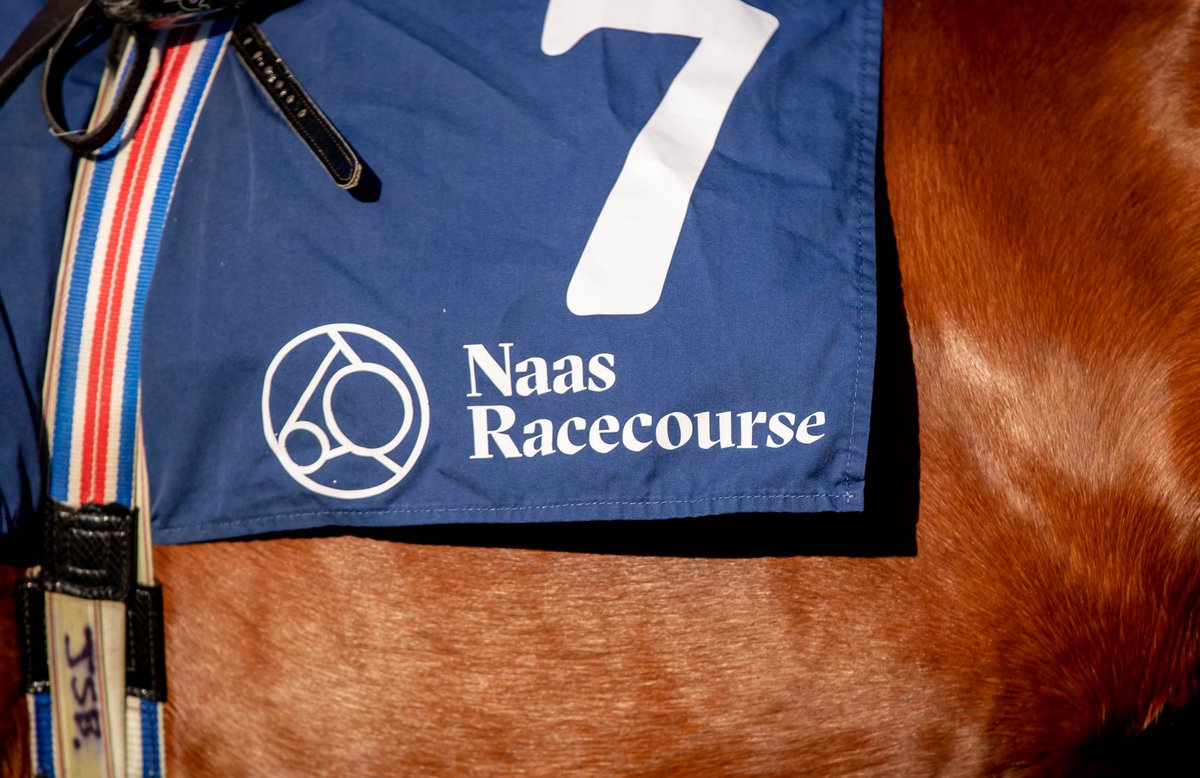 Naas Town Goes Racing next Saturday 6th July with lots of activities happening on the day 🐎🎸☀️Book our BBQ package for just €42 &amp;get your admission, racecard, BBQ meal and a reserved table for the day!

 Book it here -bit.ly/2xnX4UR
#SummerSeasonAtNaas