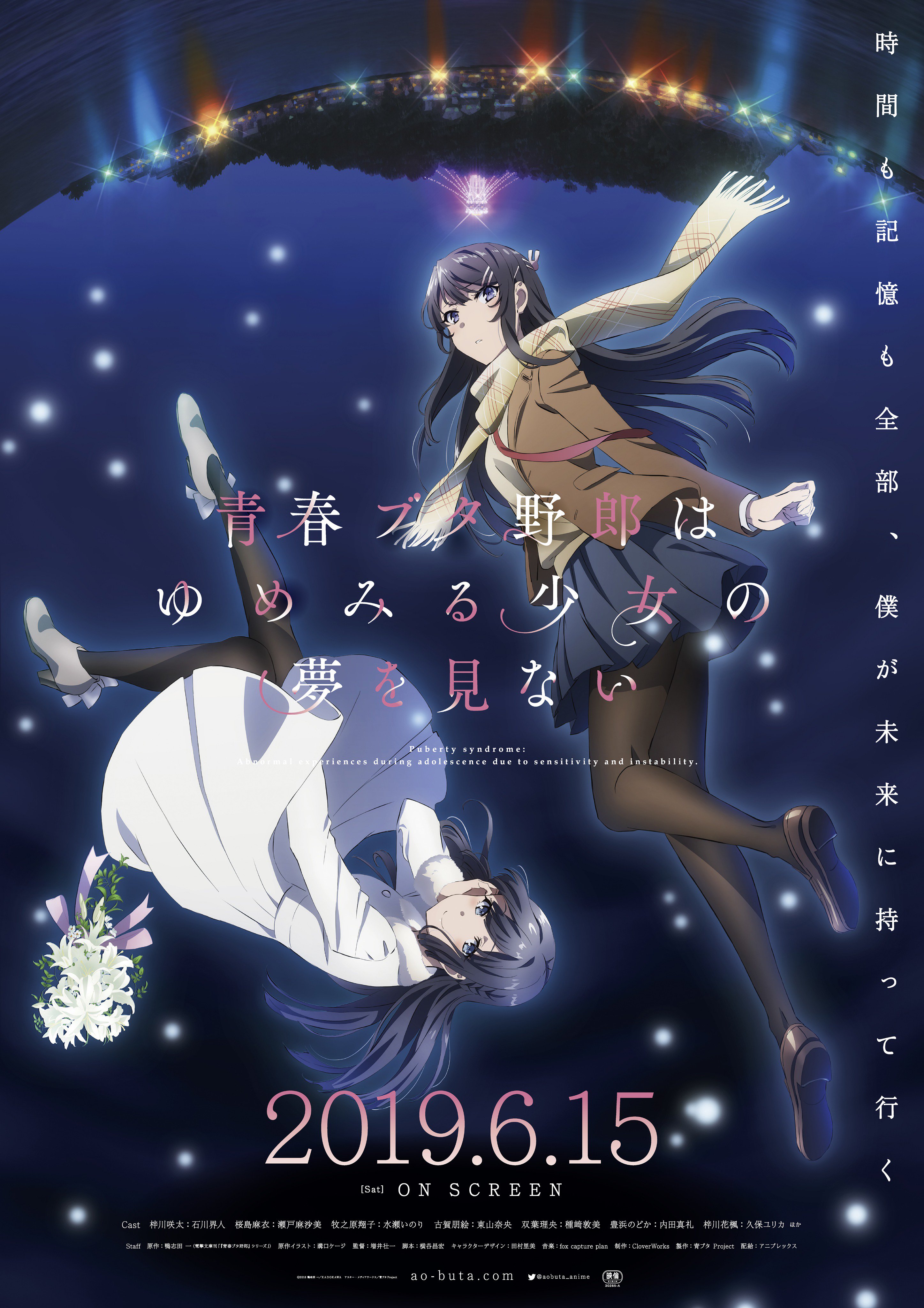 劇場版 青春ブタ野郎はゆめみる少女の夢を見ない 豪華版
